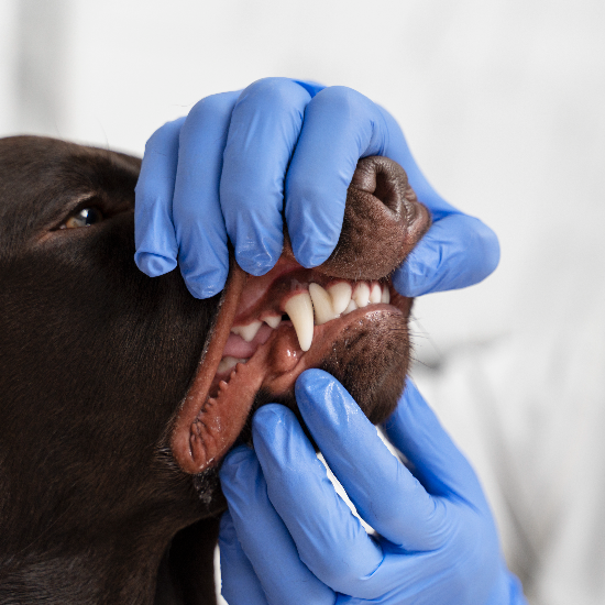 Featured image for Auto-prepared featured image