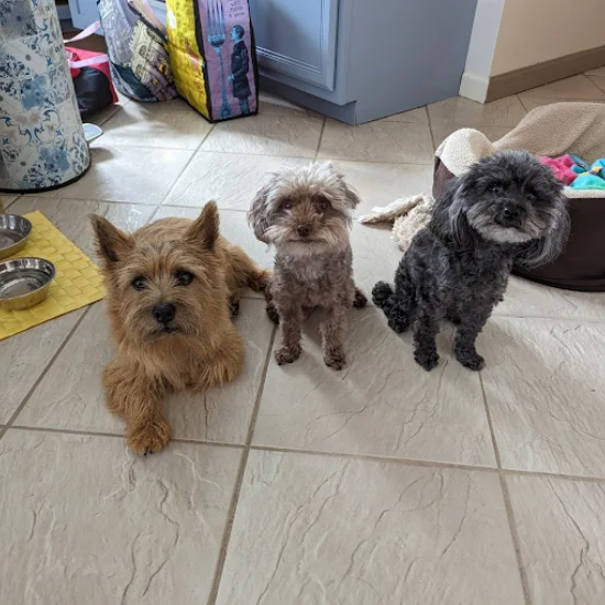 Featured image for Auto-prepared featured image