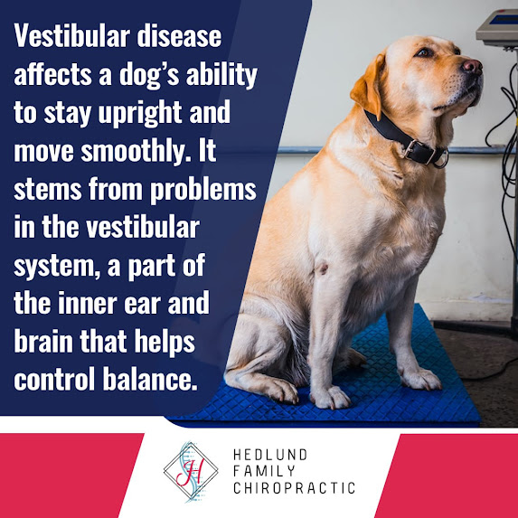 Featured image for Auto-prepared featured image