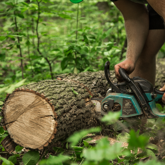 Featured image for Auto-prepared featured image